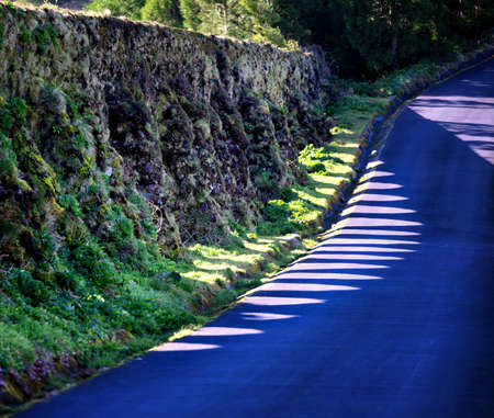 Shadows on the road. Azores. Sao Miguel.の写真素材