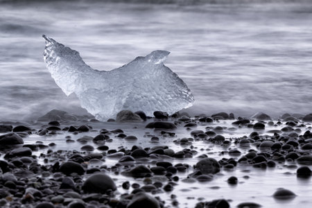 Ice dog. Jokulsarlon glacier lagoon. Beautiful vulcanic island in the ocean. Iceland.
