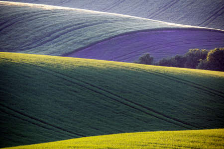 Beautiful rolling landscape in South Moravia called Moravian Tuscany. Czech republic.