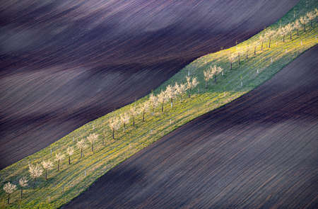 Beautiful rolling landscape in South Moravia called Moravian Tuscany. Czech republic.