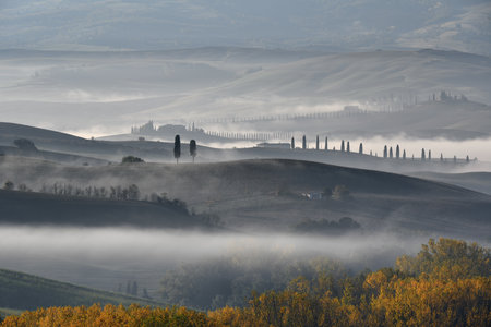 Pitoresque region Tuscany, Val d Orcia in fog, Italy.の写真素材