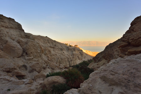 Holy Land of Israel. Ein Ghedi Reserve.