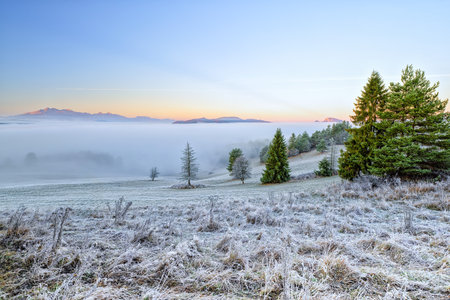 Foggy morning in the valleys of the Pieniny national park, Slovakia.の写真素材