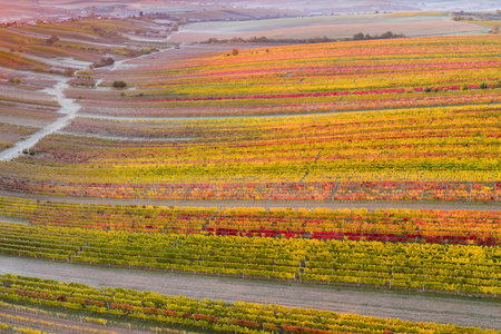 Beautiful rolling landscape in South Moravia called Moravian Tuscany.