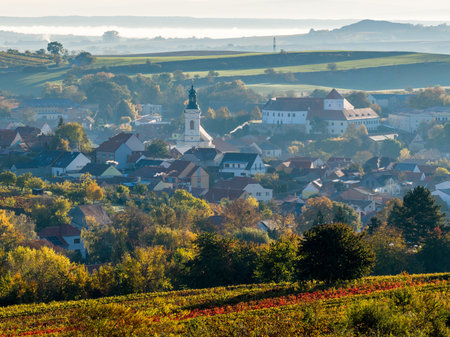 Aerial view of the wine-growing village of Cejkovice in Moravian Tuscanyの写真素材