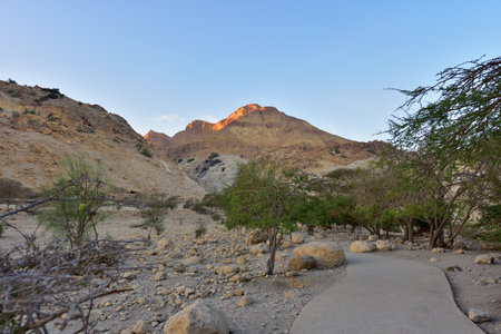 Ein Ghedi Reserve.の写真素材