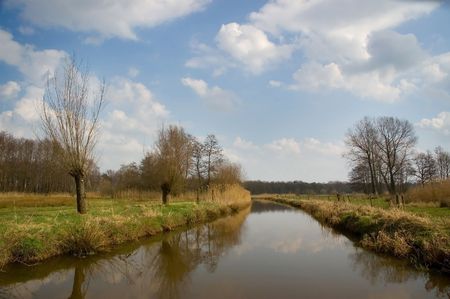 Dutch landscape with river and weeping willows in springの写真素材