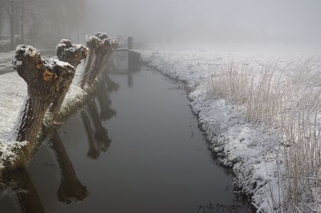 Winter landscape of a dutch polder, winter 2008の写真素材