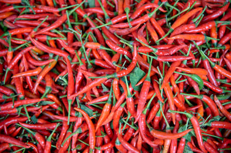 pile of fresh red chili peppers on thai marketの写真素材