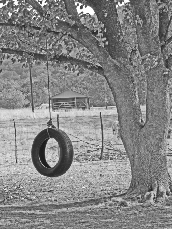 Tire Swingの写真素材
