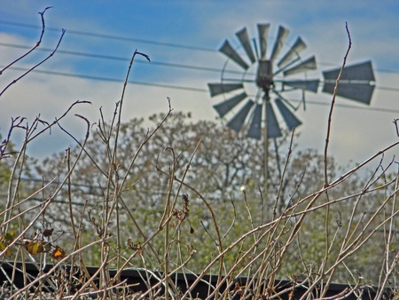 Windmill      の写真素材