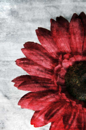 grunge abstract flower background for multiple usesの写真素材