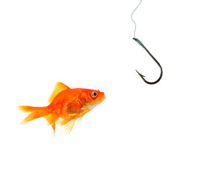 single goldfish and empty hook  isolated on whiteの写真素材
