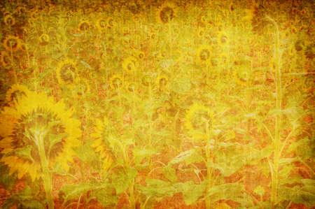 abstract grunge sun flower texture for multiple usesの写真素材