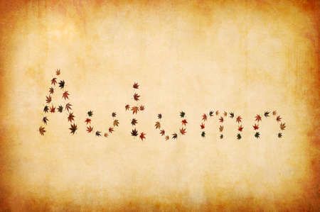 grunge background with autumn letters made by leavesの写真素材
