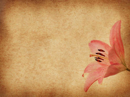 grunge paper floral background with pink lilly for multiple usesの写真素材