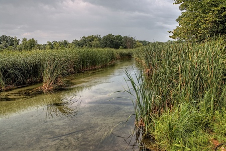 Glendalough State Park is located by Battle Lake and Ottertail Lake, Minnesotaの写真素材