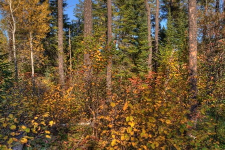 Ouimet Canyon is a Provincial Park in Northern Ontario, Canadaの写真素材