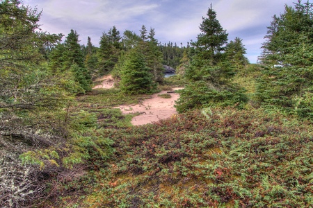 Pukaskwa National Park is on the Shores of Lake Superior in Northern Ontario, Canadaの写真素材