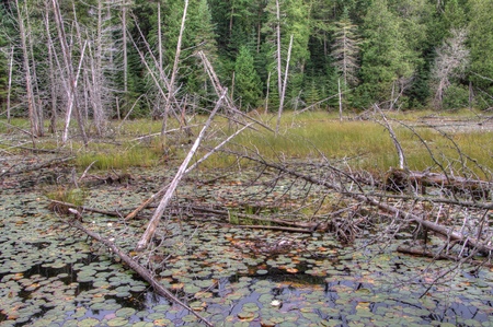 Lake Superior Provincial Park is on the Shore of the Lake in Northern Ontario, Canadaの写真素材