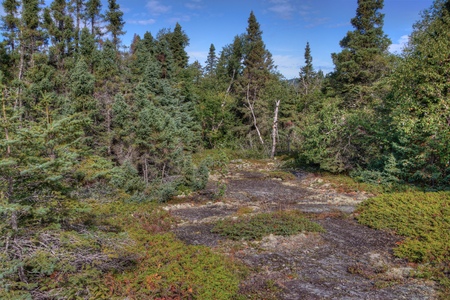 Pukaskwa National Park is on the Shores of Lake Superior in Northern Ontario, Canadaの写真素材