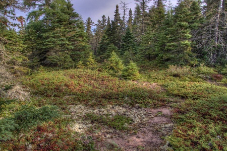 Pukaskwa National Park is on the Shores of Lake Superior in Northern Ontario, Canadaの写真素材