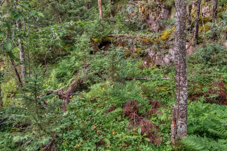 Pukaskwa National Park is on the Shores of Lake Superior in Northern Ontario, Canadaの写真素材