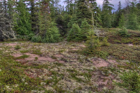 Pukaskwa National Park is on the Shores of Lake Superior in Northern Ontario, Canadaの写真素材