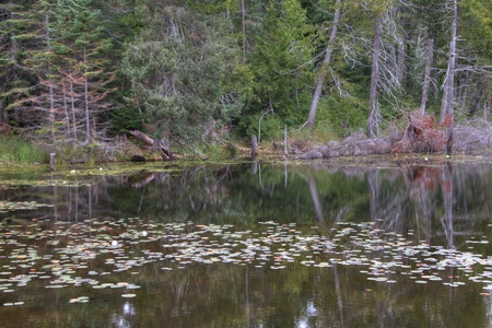 Lake Superior Provincial Park is on the Shore of the Lake in Northern Ontario, Canadaの写真素材