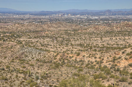 The Phoenix Skyline is surrounded by Desert and Cactiの写真素材