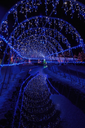 Christmas Lights in Duluth, Minnesota during the Winter Season on Lake Superior Shoresの写真素材