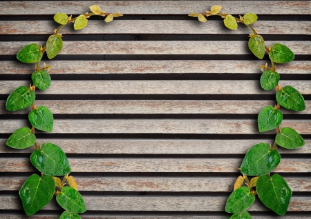 Grunge wood wall panels with leaf.の写真素材