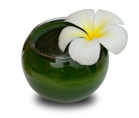 Beautiful flower in aroma glass vase for decorated on table.の写真素材