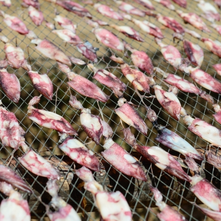 Closeup of dried squid at strong sunlight in the afternoon, at fishing village south of Thailand.