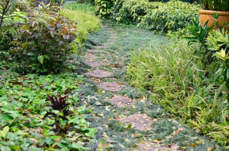 Walk way in garden decorated with varieties of plants. の写真素材