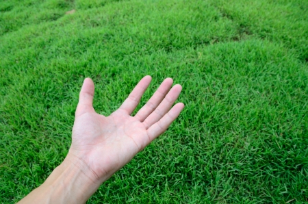 Hand above green grass field in relaxed feeling.