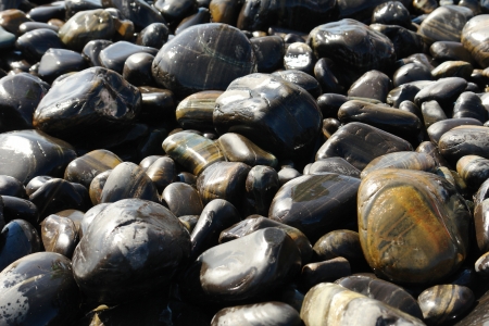 Closeup of stone on the beach.                               の写真素材