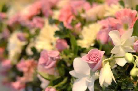 close up of flower in wedding celebration.の写真素材