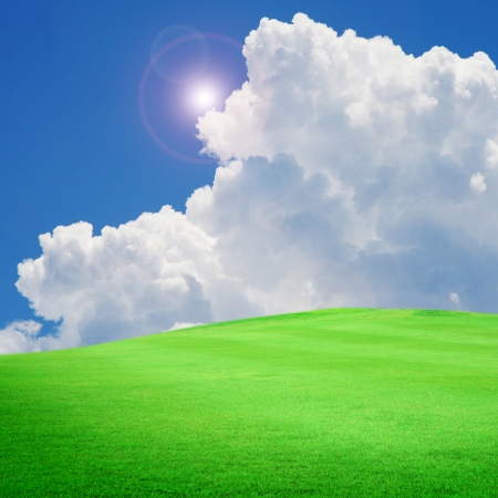 Beautiful green field with skyの写真素材