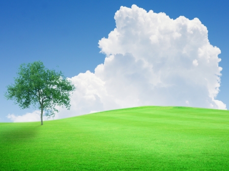 Beautiful green field with blue sky and white cloud and treeの写真素材