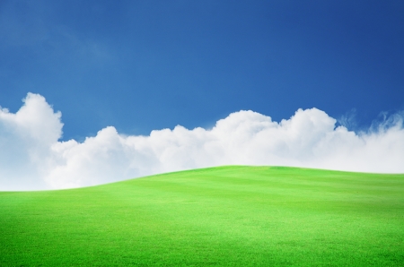 Beautiful green field with blue sky and white cloudの写真素材