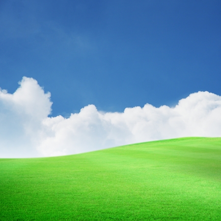 Beautiful green field with blue sky and white cloudの写真素材