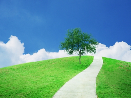 Buautiful green field with tree under blue sky and pathway.の写真素材