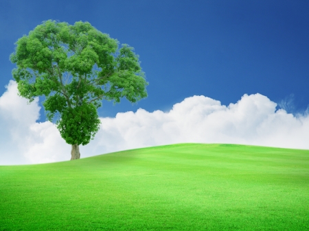 Beautiful green field with blue sky, white cloud and big treeの写真素材