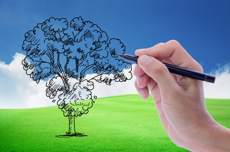 Man's hand sketching tree on beautiful green field with blue sky and white cloud backgroundの写真素材