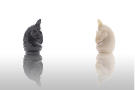 Black and white knight chess face to face with reflection, metaphor to business concept in rivalry.の写真素材