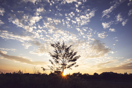 Nature beautiful cloud with sunset lighting background, and silhouette tree foreground, dark tone, vintage filter, retro style. の写真素材