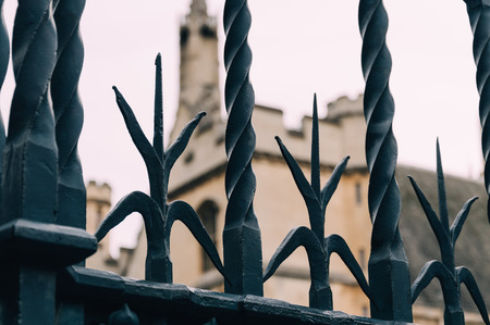 Iron Fence. Forge Detail. Part of a wrought iron fence in the entrance of a historic monumentの写真素材