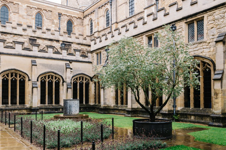 Oxford, UK - August 12, 2015: View of a courtyard in Christ Church College in Oxford with a tree in a flower pot and plants a rainy dayのeditorial素材