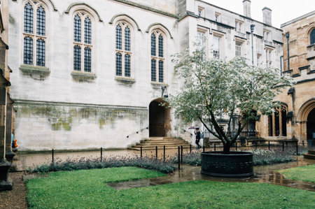 Oxford, UK - August 12, 2015: View of a courtyard in Christ Church College in Oxford with a tree in a flower pot and plants a rainy dayのeditorial素材